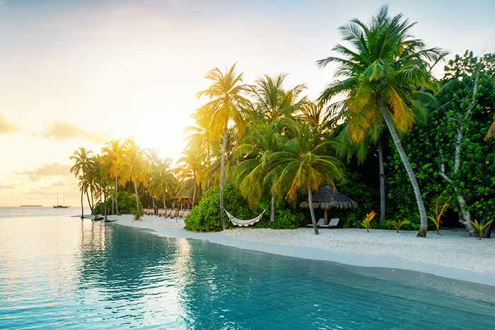 Photo of a tropical island beach with hammock