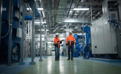 Two individuals in a plant facility