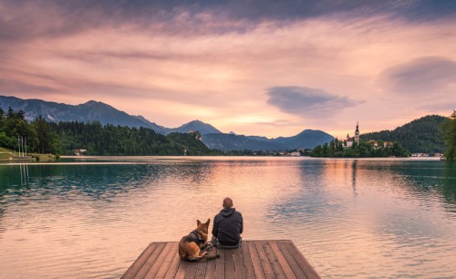 Man and dog on wooden deck watching the sunset