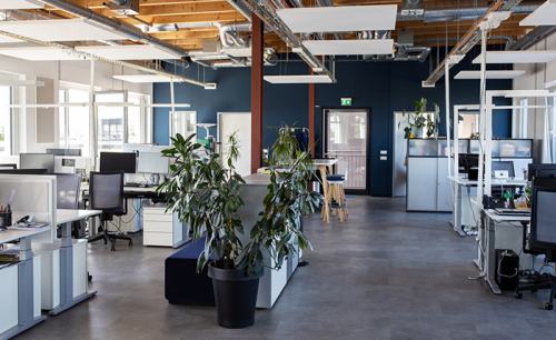 Open plan office with plants