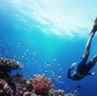 Diver swimming above coral