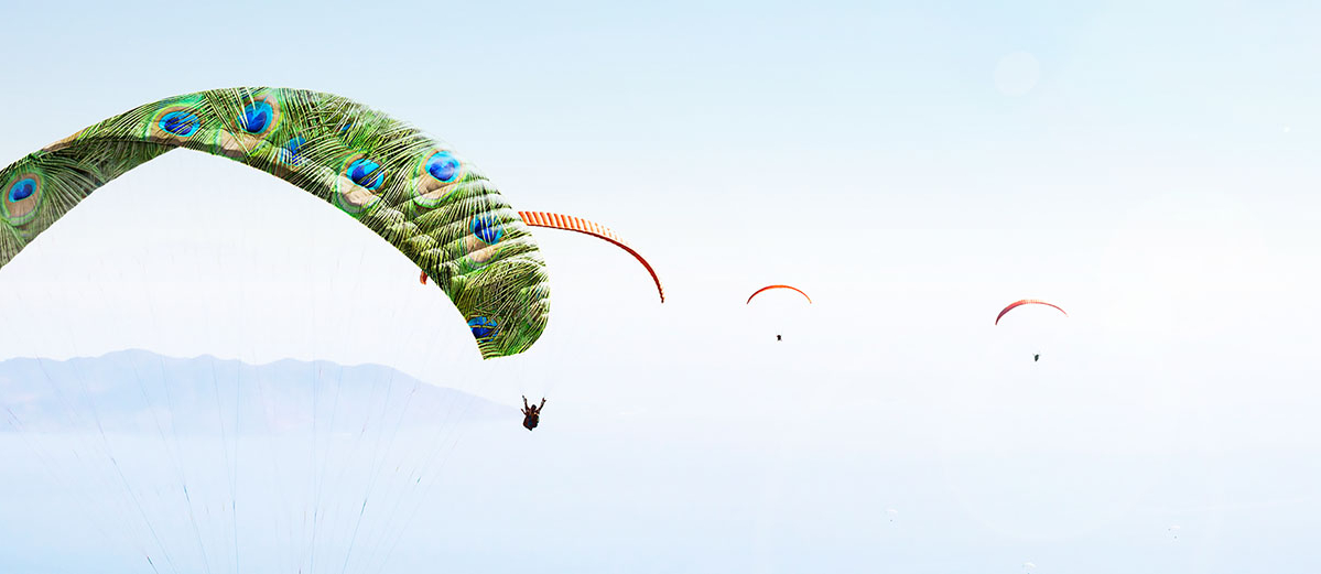 Paragliders in the sky