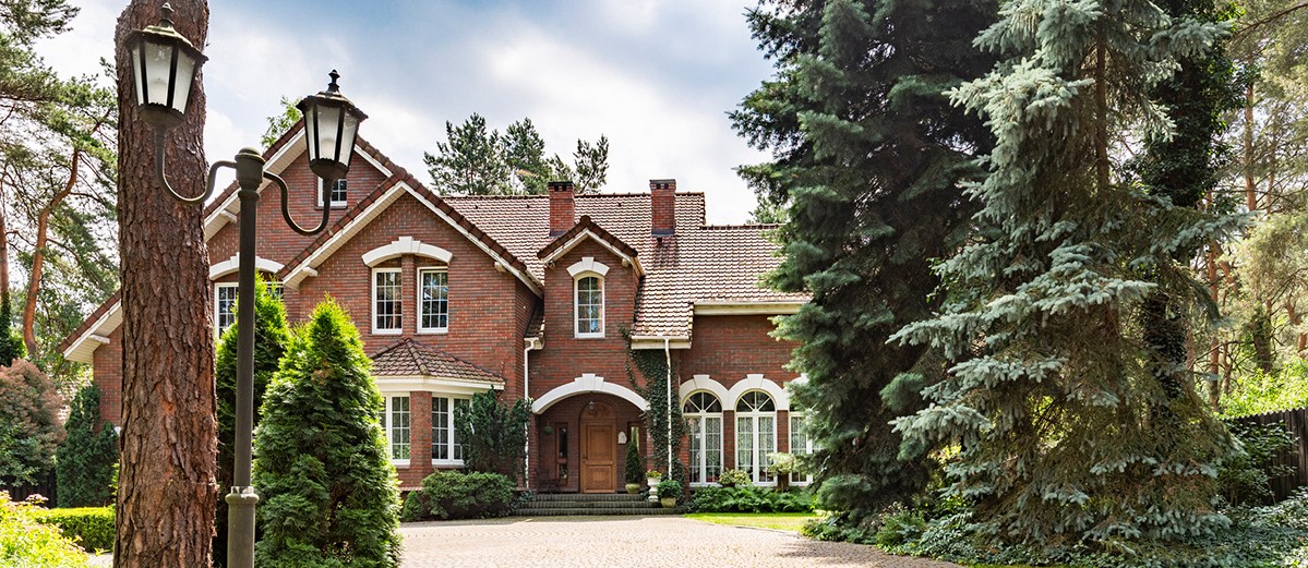 Driveway and trees on real estate with red brick house in english style with windows
