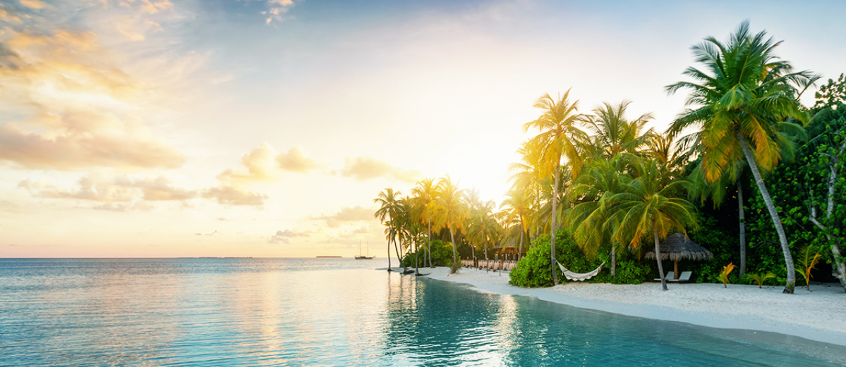 Photo of a tropical island beach with hammock