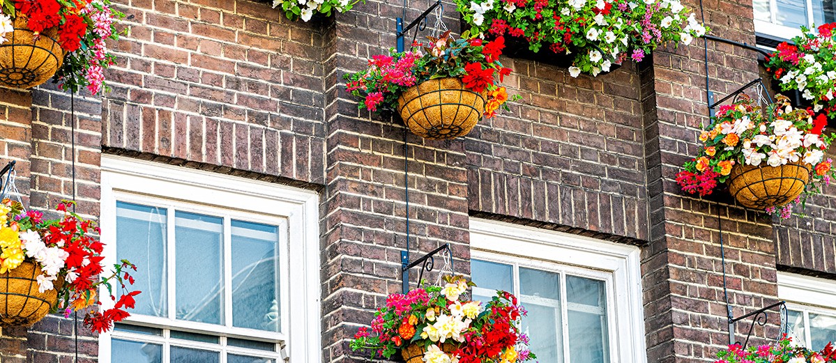 red flowers baskets building