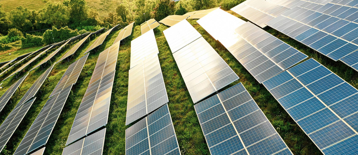 Solar panels arranged on a green hillside