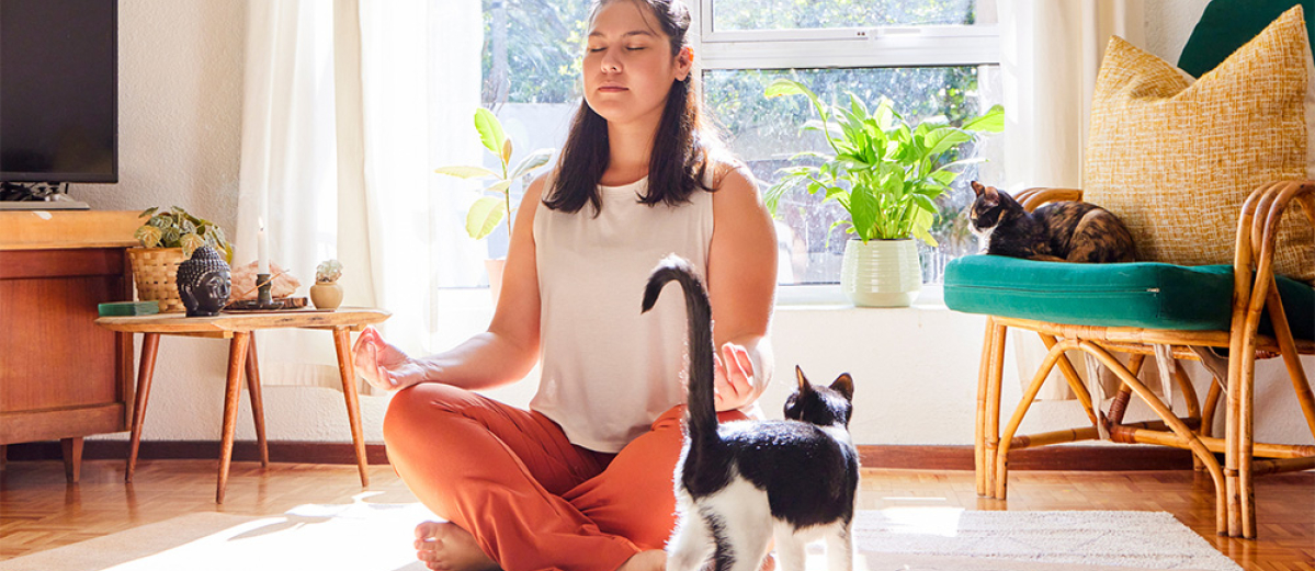 Young woman sitting on a mat and meditating at home, watched by her two cats.
