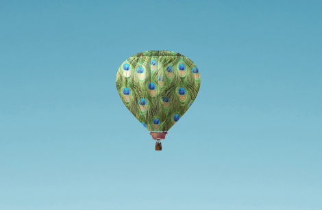 Peacock hot air balloon