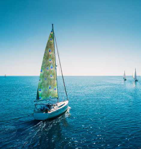 Sailing boat with peacock feather sail in foreground on a calm sea, with smaller yachts in the distance.