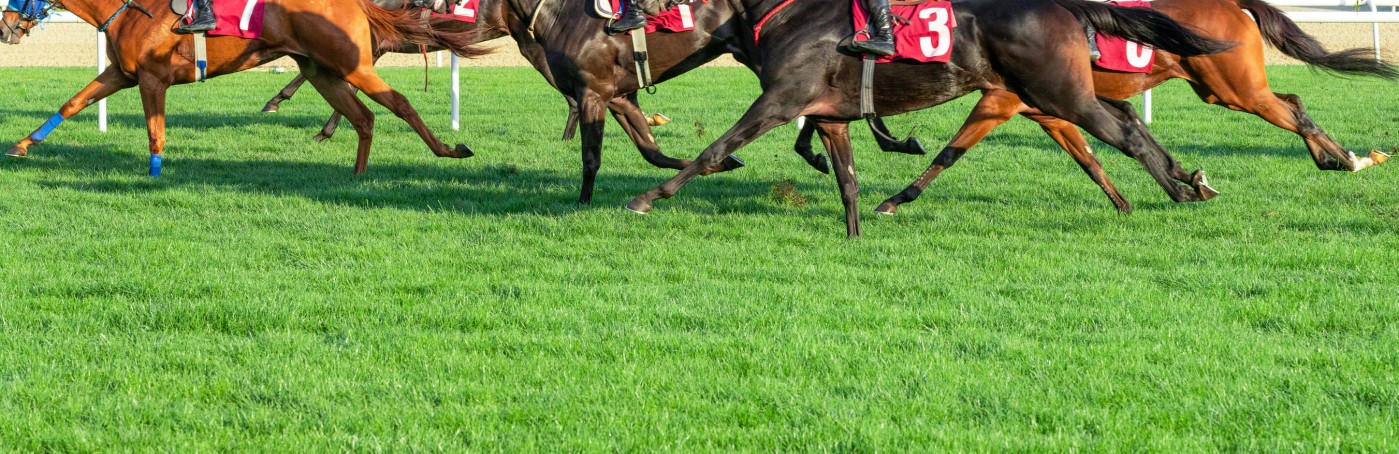 Horse Racing