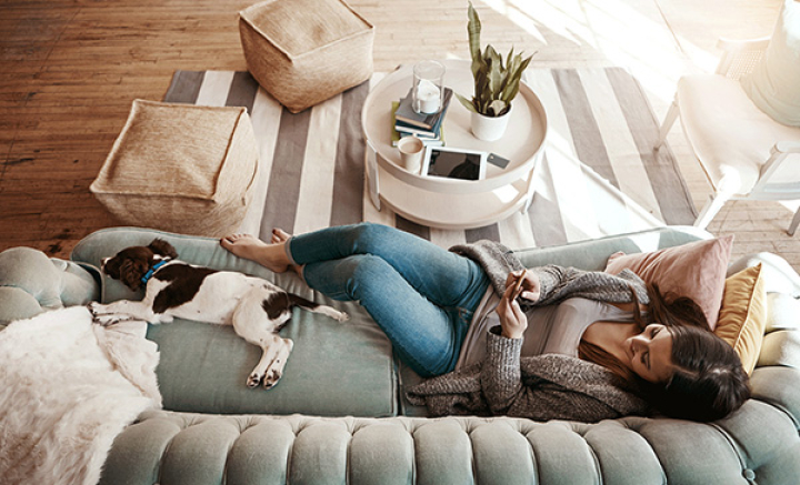 Lady using smartphone on sofa with dog