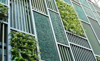 Vertical garden 