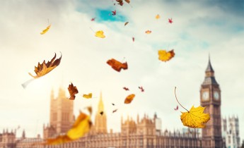 Falling autumn leaves in front of the UK Houses of Parliament