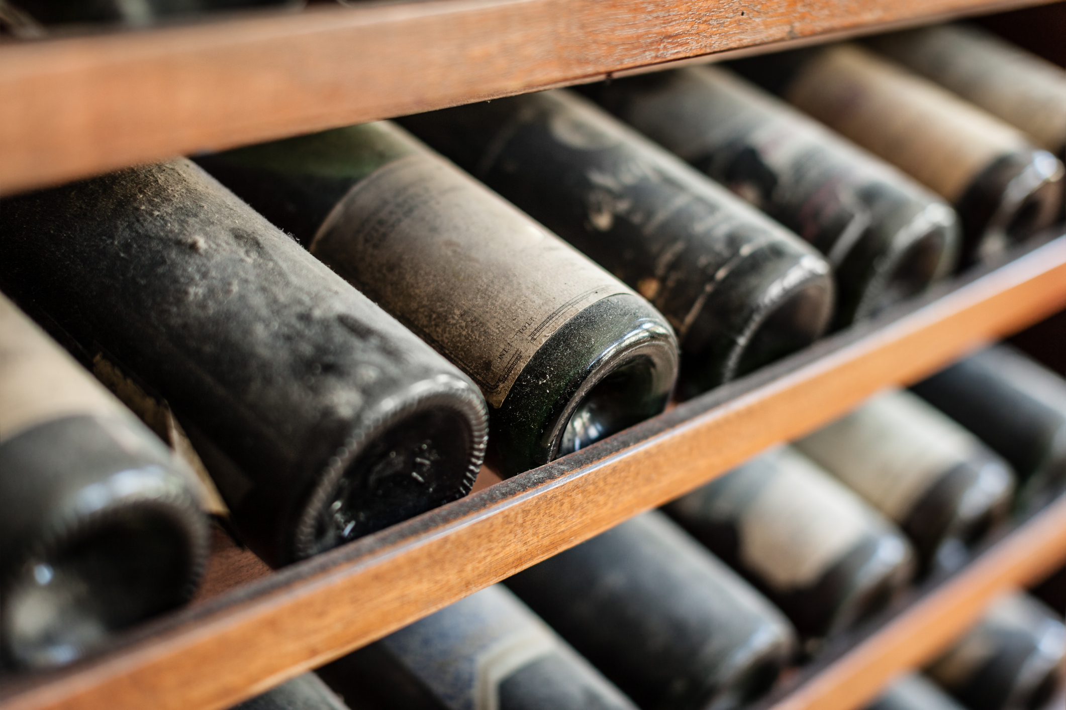 Collection of dust-covered wines on a rack